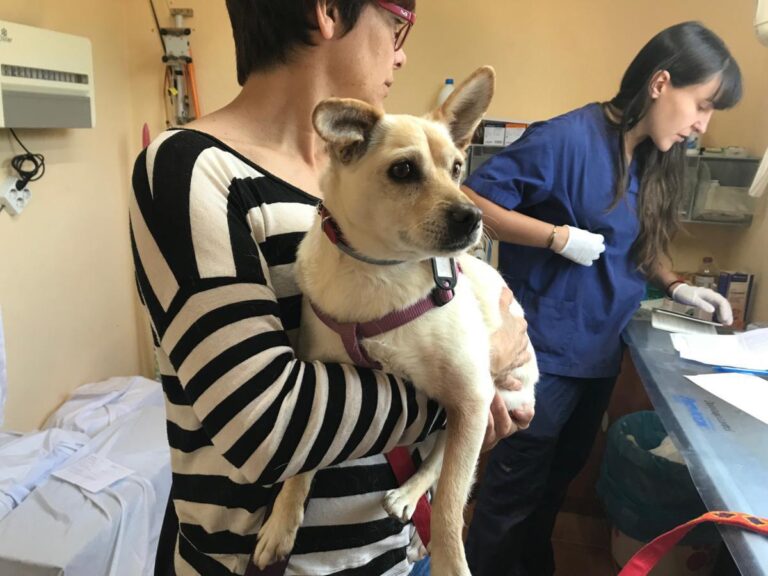 multimedia-foto49450-143-1