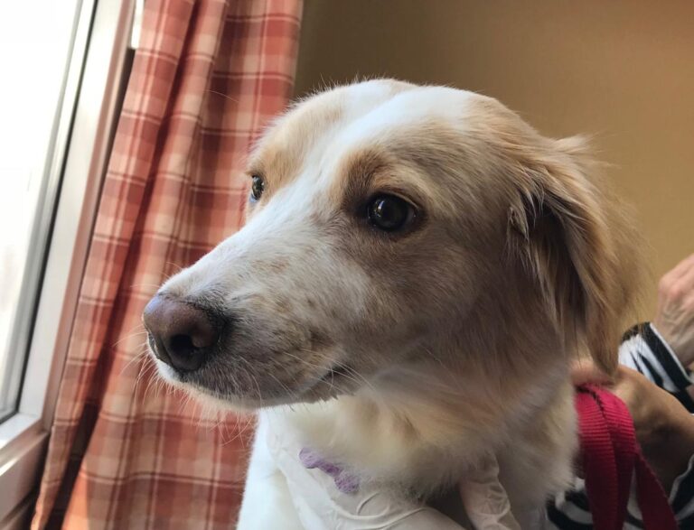 multimedia-foto49452-453-1