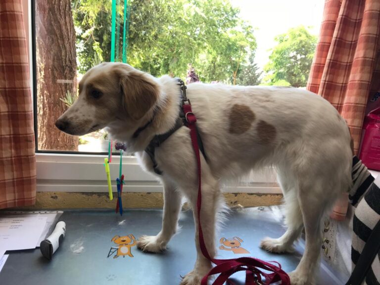 multimedia-foto49453-454-1