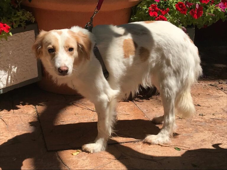 multimedia-foto49454-454-1