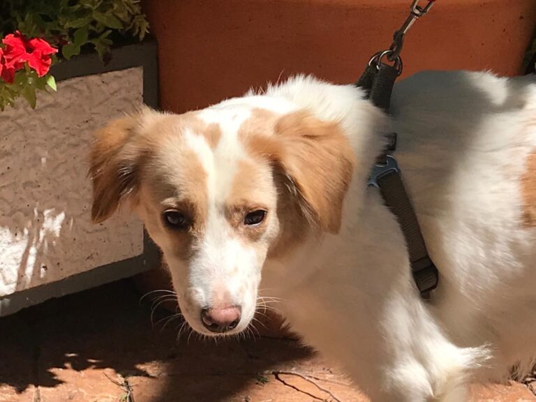 multimedia-foto49455-454-1