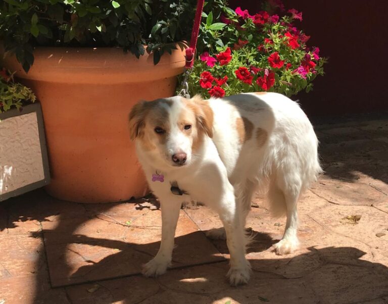 multimedia-foto49456-454-1