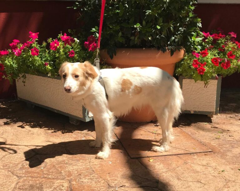 multimedia-foto49457-455-1