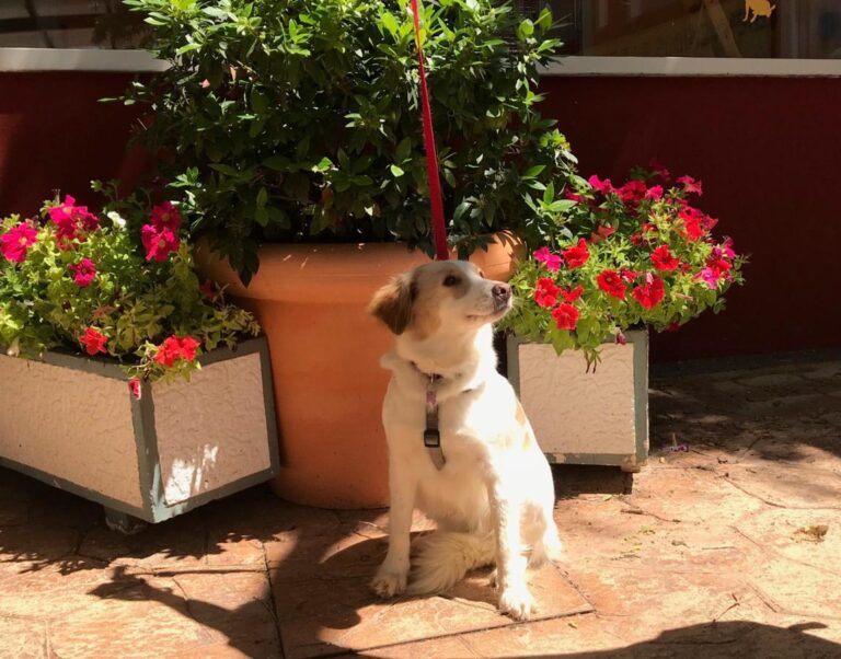 multimedia-foto49458-455-1