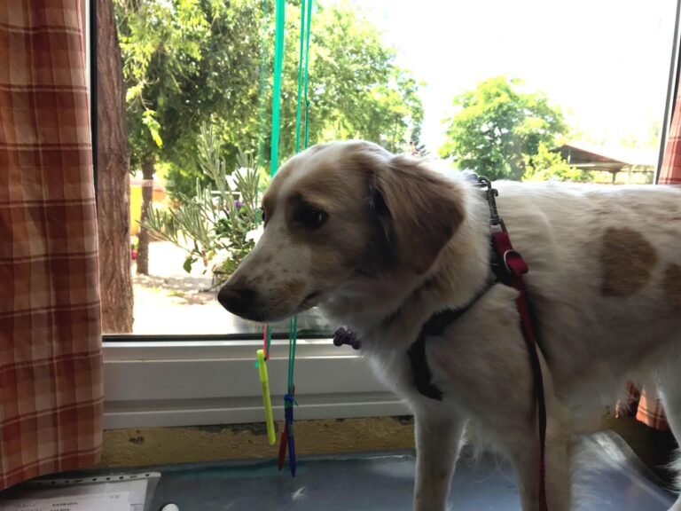 multimedia-foto49461-501-1