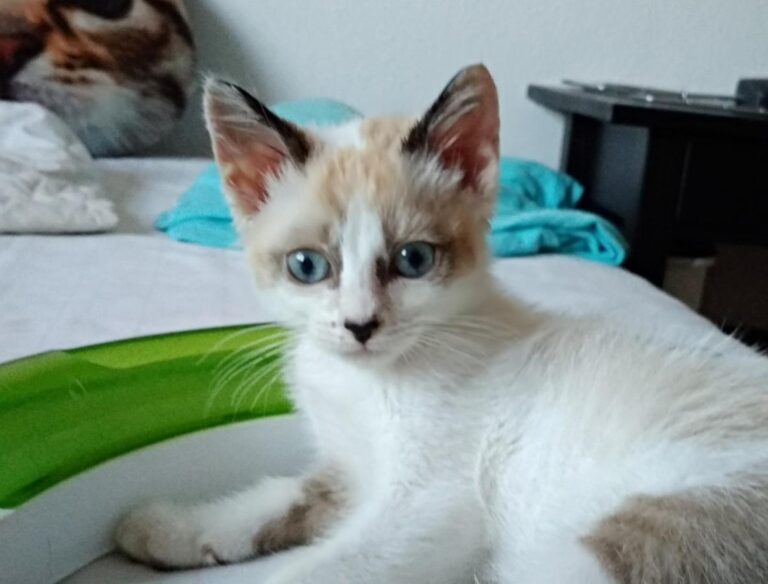 multimedia-foto49491-169-1