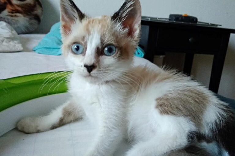 multimedia-foto49492-169-1