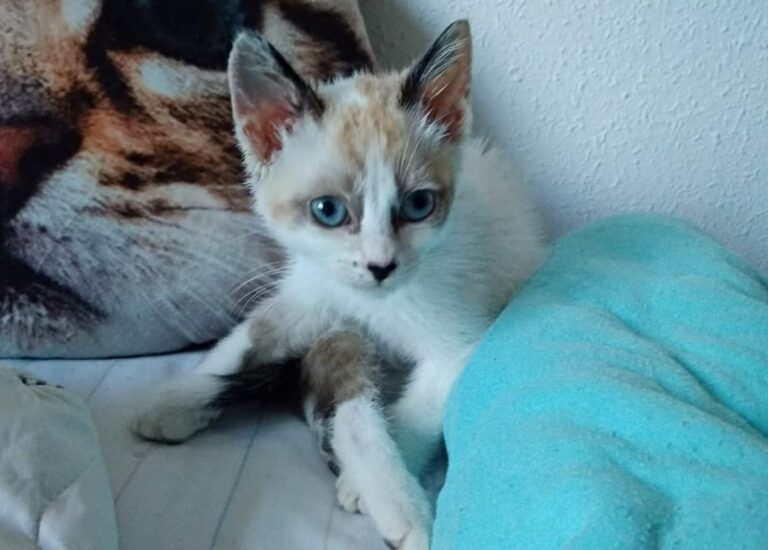 multimedia-foto49493-169-1