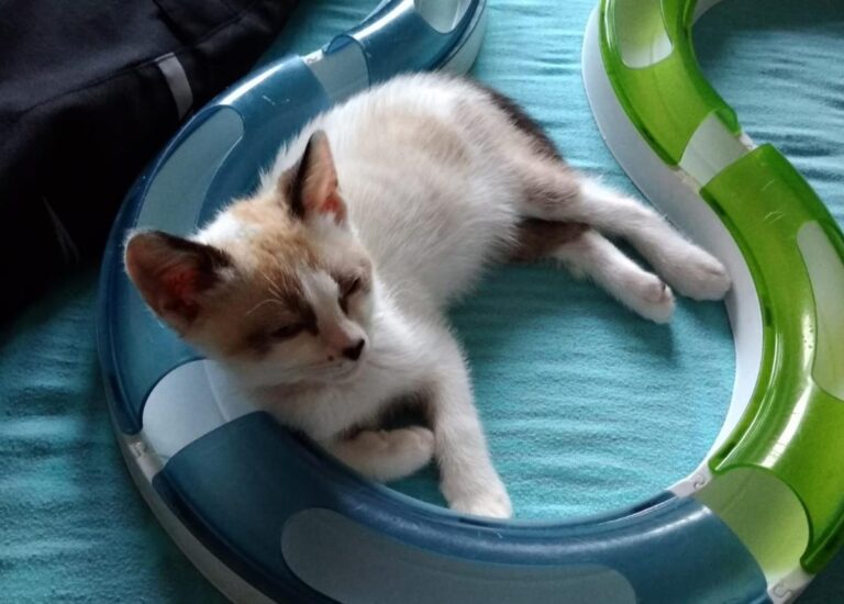 multimedia-foto49494-170-1