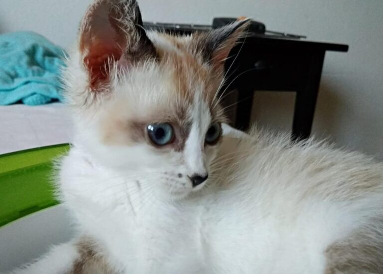 multimedia-foto49495-170-1