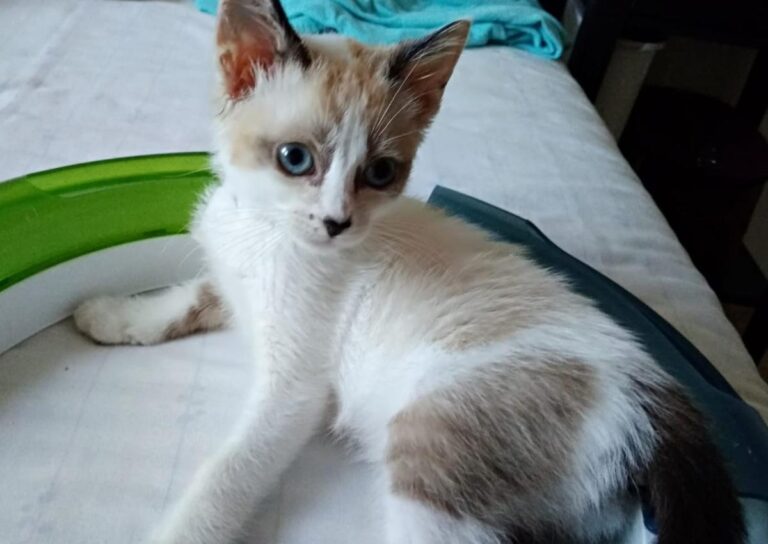 multimedia-foto49496-170-1