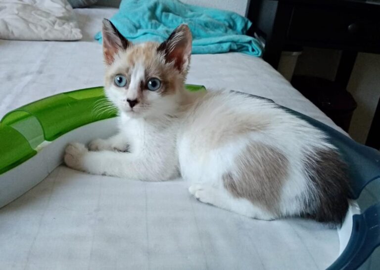 multimedia-foto49497-170-1