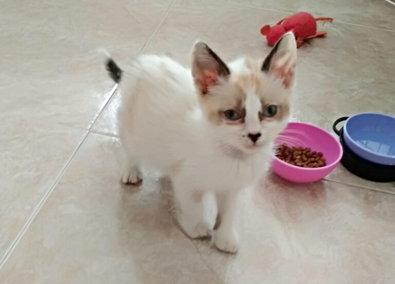 multimedia-foto49499-171-1