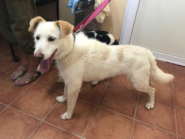 multimedia-foto49558-210-1