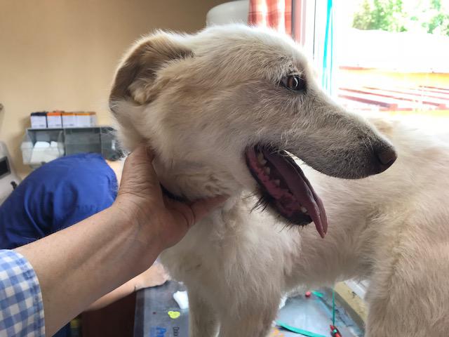 multimedia-foto49559-210-1