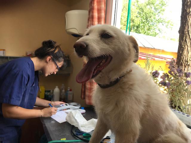 multimedia-foto49560-211-1