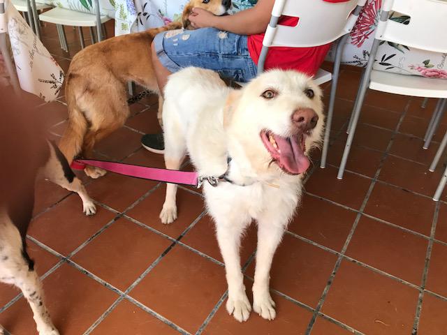 multimedia-foto49561-211-1