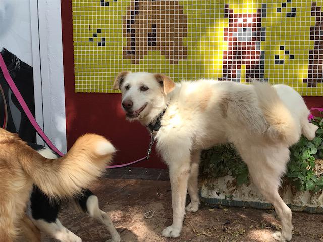 multimedia-foto49562-211-1