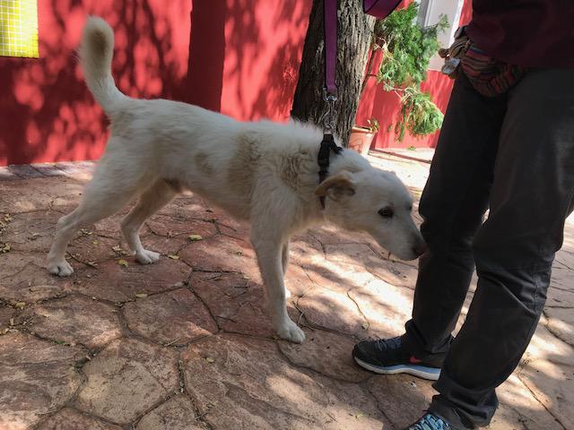 multimedia-foto49563-211-1