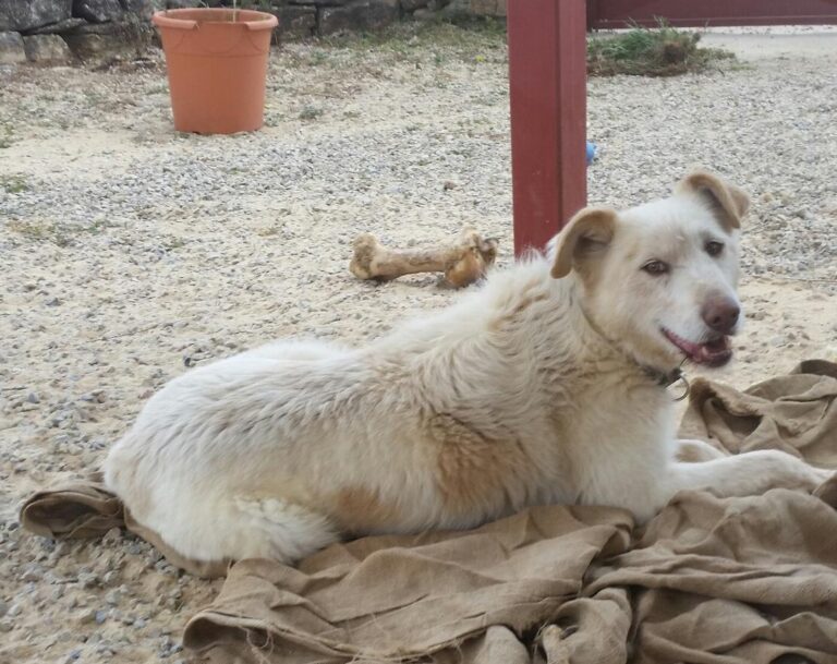 multimedia-foto49564-211-1