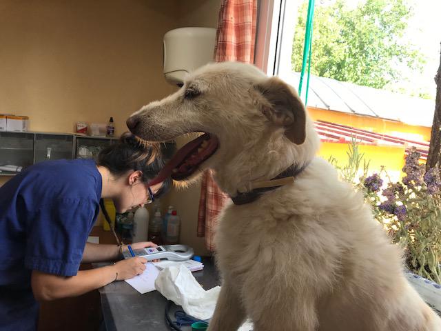 multimedia-foto49565-212-1