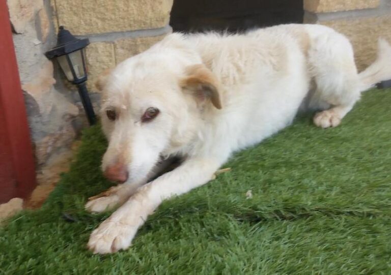 multimedia-foto49566-212-1