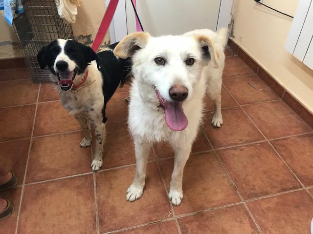 multimedia-foto49567-212-1