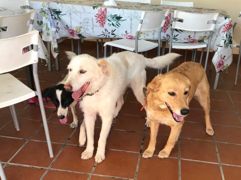 multimedia-foto49568-212-1