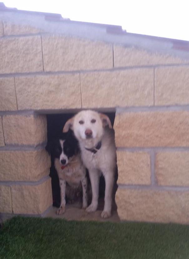 multimedia-foto49582-369-1