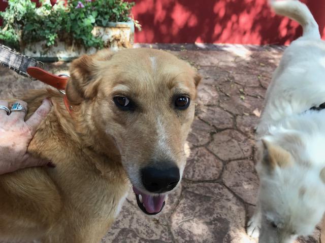 multimedia-foto49583-451-1