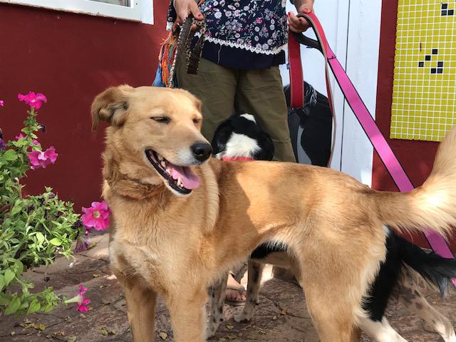 multimedia-foto49584-451-1