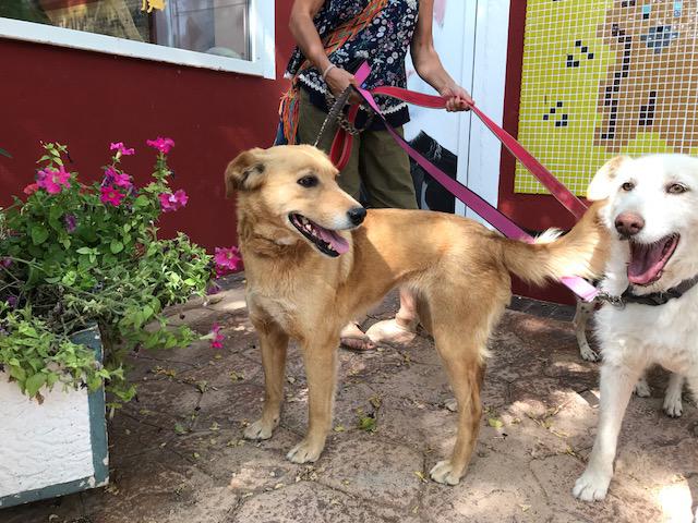 multimedia-foto49585-451-1