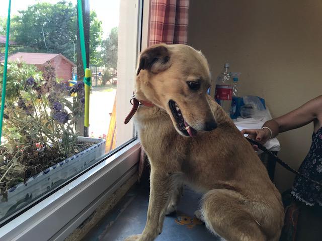 multimedia-foto49587-452-1