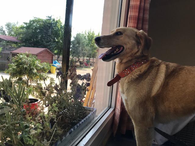 multimedia-foto49588-452-1