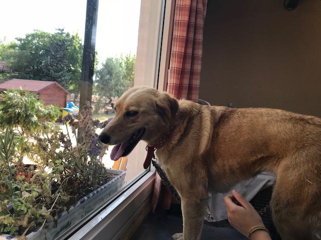 multimedia-foto49589-452-1