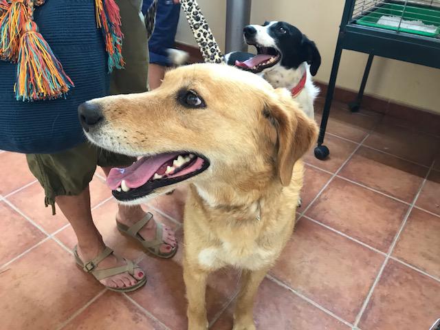 multimedia-foto49590-452-1