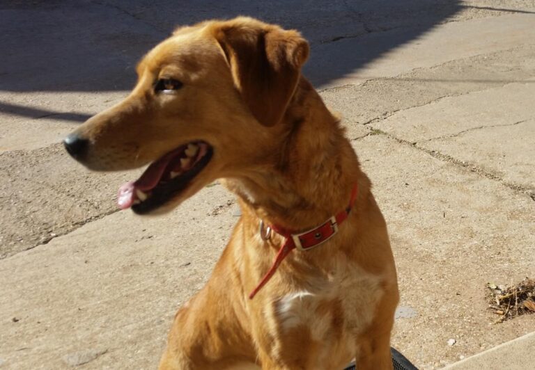 multimedia-foto49591-452-1