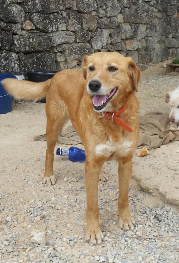 multimedia-foto49592-452-1