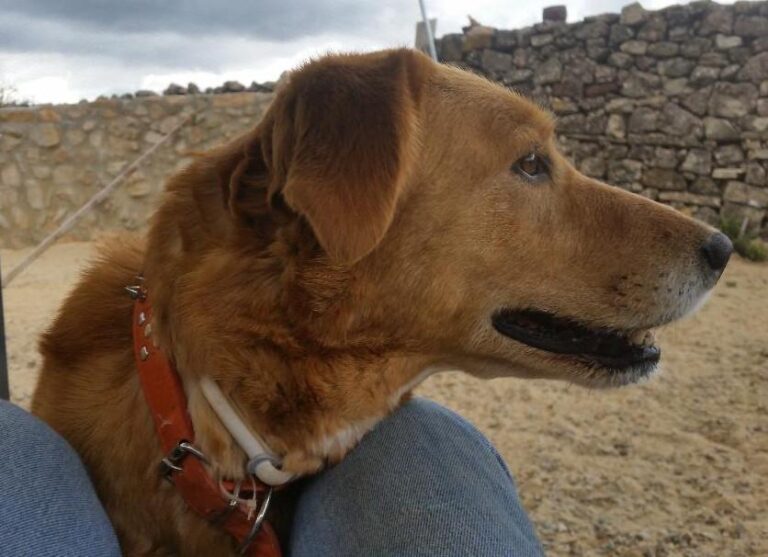 multimedia-foto49593-477-1