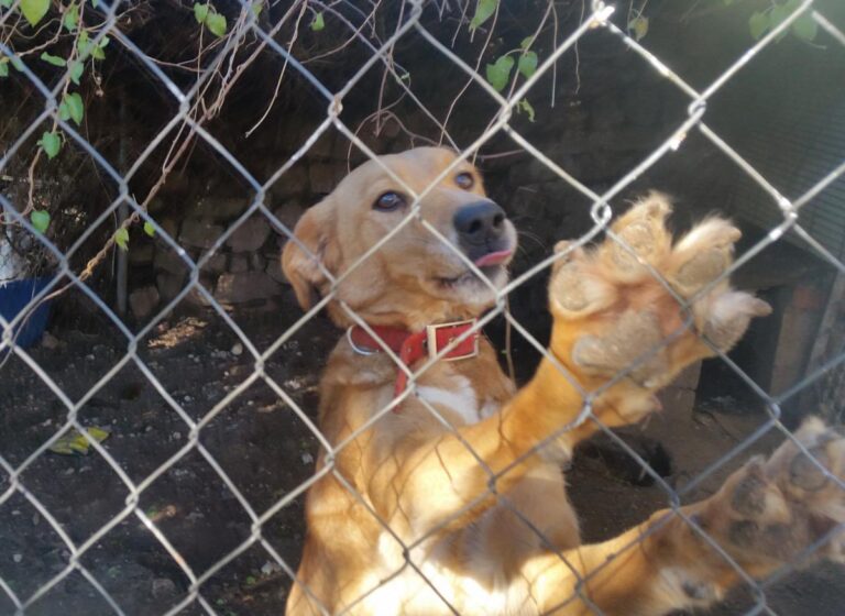 multimedia-foto49594-477-1