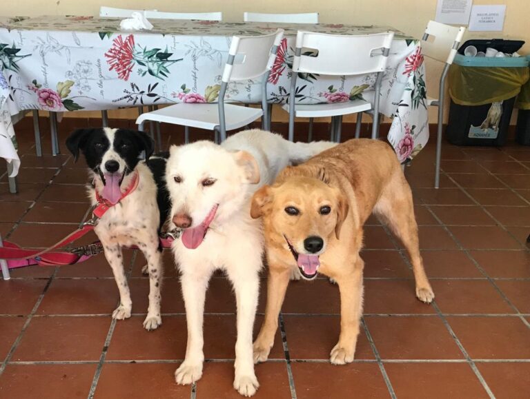 multimedia-foto49595-477-1