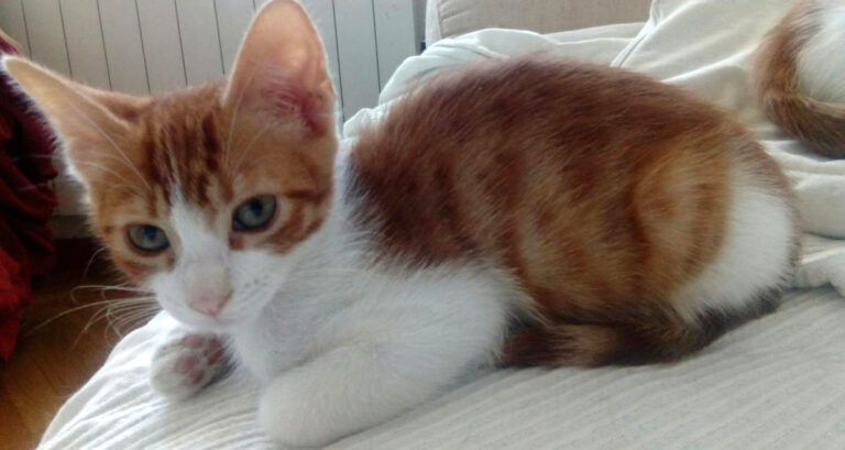 multimedia-foto49651-467-1