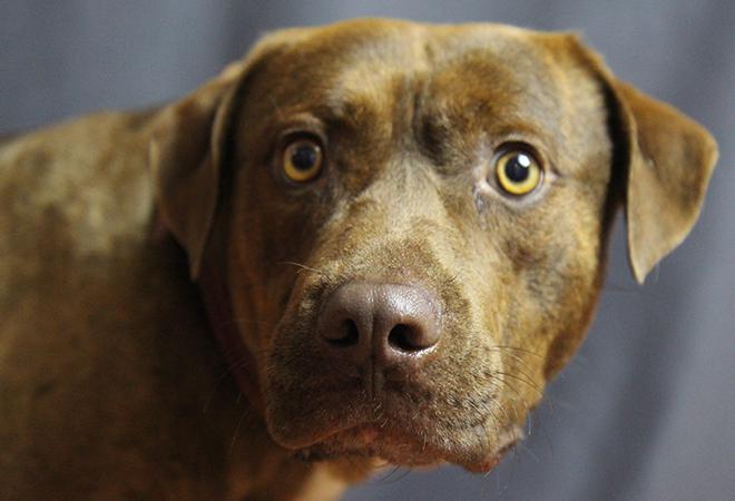 multimedia-foto49682-126-1