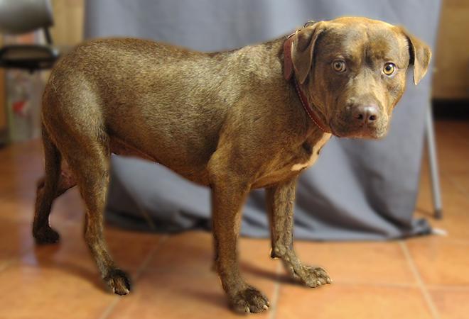 multimedia-foto49683-126-1