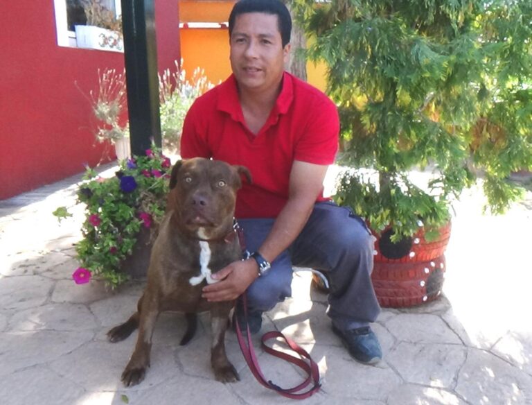 multimedia-foto49684-126-1