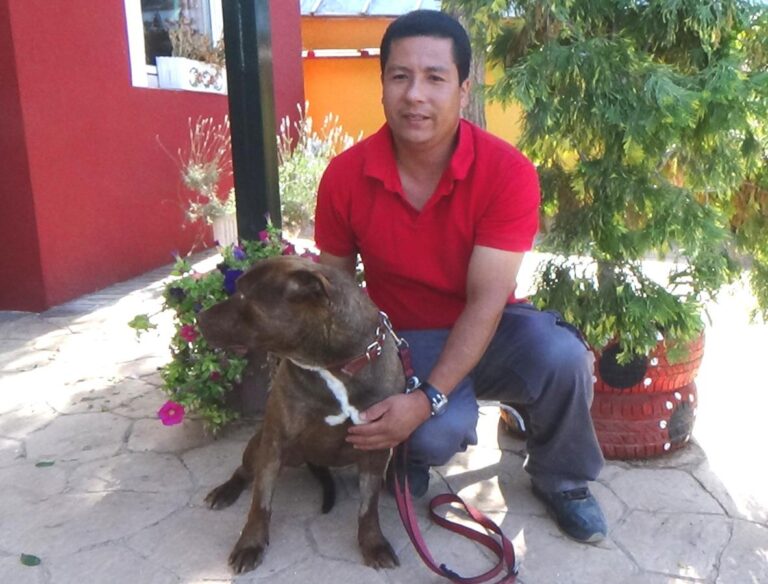 multimedia-foto49685-126-1