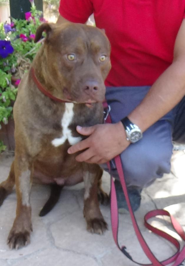 multimedia-foto49686-126-1