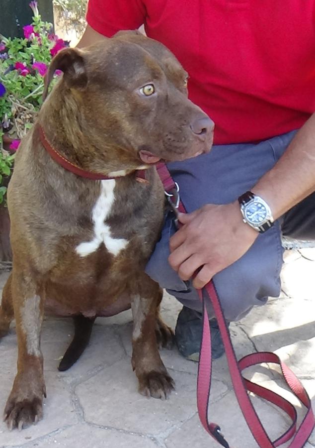 multimedia-foto49687-127-1