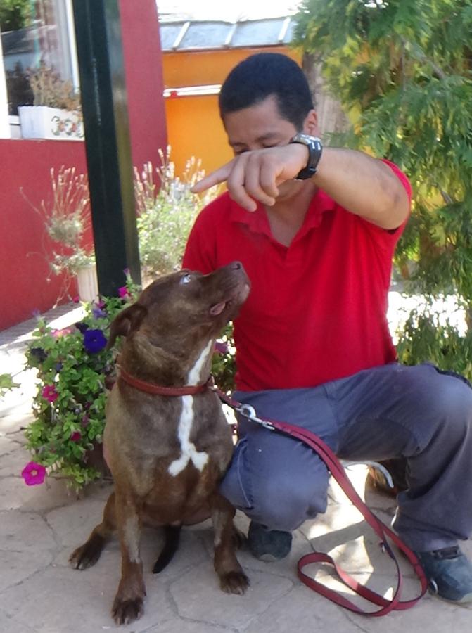 multimedia-foto49688-127-1