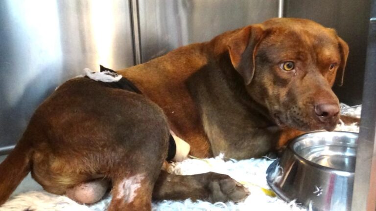 multimedia-foto49689-127-1